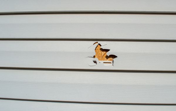 Cost of Siding Hole Repair in Mesquite